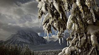 Macedonian Snow Beauties with Untouched Nature  