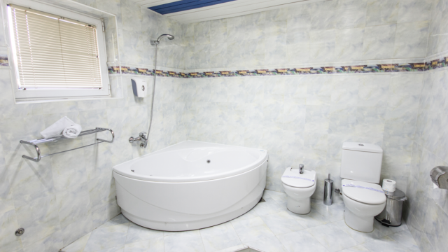 Hotel Aristocrat Palace